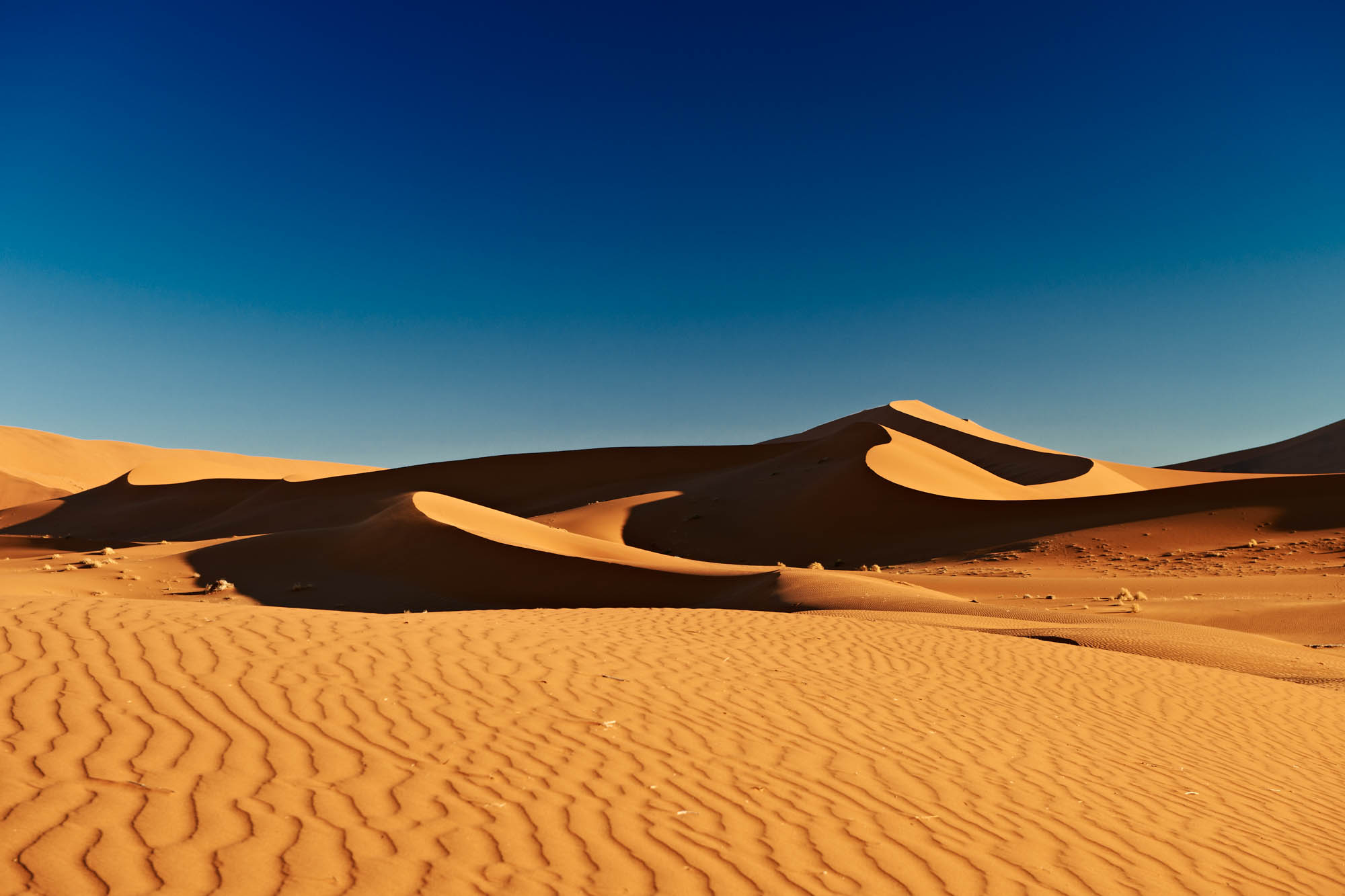 Vast desert landscape with golden sand dunes under deep blue sky